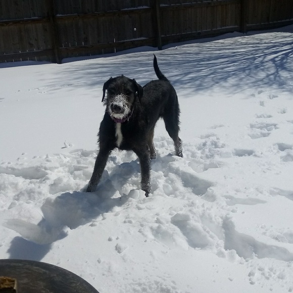 Meet your Posher, David - Picture 1 of 1